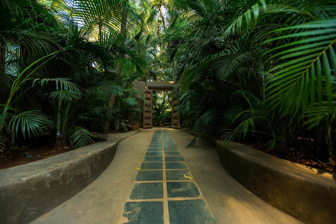 Ashiyana Goa - Yoga Retreat Centre Hotel Eksteriør billede